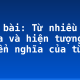 Soạn bài: Từ nhiều nghĩa và hiện tượng chuyển nghĩa của từ (1)