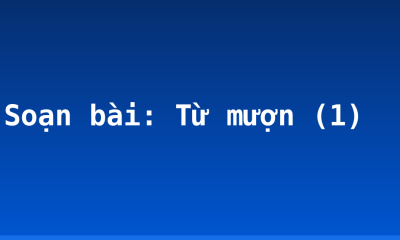 Soạn bài: Từ mượn (1)