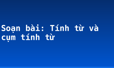 Soạn bài: Tính từ và cụm tính từ
