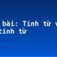 Soạn bài: Tính từ và cụm tính từ