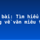 Soạn bài: Tìm hiểu chung về văn miêu tả