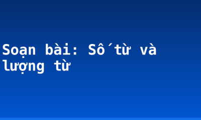 Soạn bài: Số từ và lượng từ