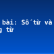 Soạn bài: Số từ và lượng từ
