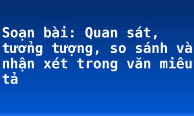 Soạn bài: Quan sát, tưởng tượng, so sánh và nhận xét trong văn miêu tả