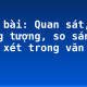 Soạn bài: Quan sát, tưởng tượng, so sánh và nhận xét trong văn miêu tả