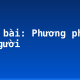 Soạn bài: Phương pháp tả người