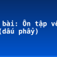 Soạn bài: Ôn tập về dấu câu (dấu phẩy)