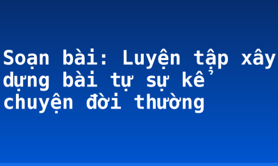 Soạn bài: Luyện tập xây dựng bài tự sự kể chuyện đời thường
