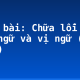 Soạn bài: Chữa lỗi về chủ ngữ và vị ngữ (tiếp theo)