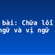 Soạn bài: Chữa lỗi về chủ ngữ và vị ngữ
