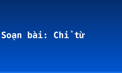 Soạn bài: Chỉ từ