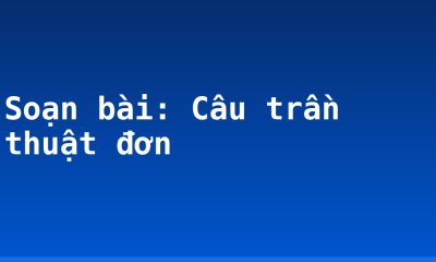 Soạn bài: Câu trần thuật đơn