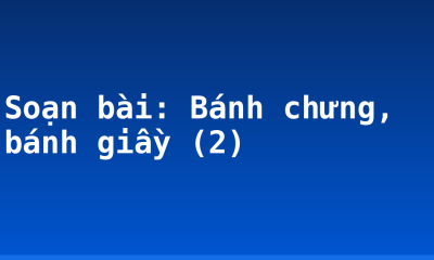 Soạn bài: Bánh chưng, bánh giầy (2)