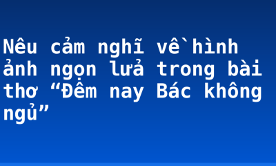 Nêu cảm nghĩ về hình ảnh ngọn lửa trong bài thơ “Đêm nay Bác không ngủ”