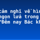 Nêu cảm nghĩ về hình ảnh ngọn lửa trong bài thơ “Đêm nay Bác không ngủ”
