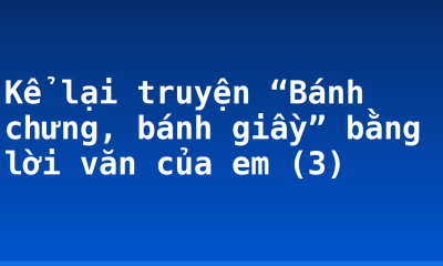 Kể lại truyện “Bánh chưng, bánh giầy” bằng lời văn của em (3)