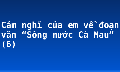 Cảm nghĩ của em về đoạn văn “Sông nước Cà Mau” (6)