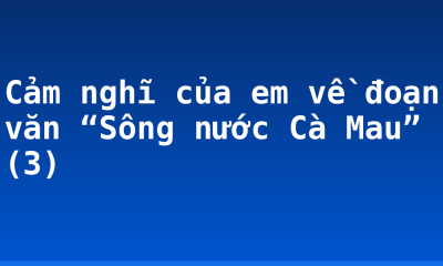 Cảm nghĩ của em về đoạn văn “Sông nước Cà Mau” (3)