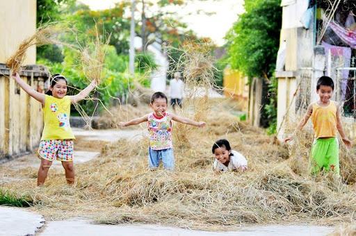 Thang 5 roi, lua da nang bong? hinh anh 2 con_duong_rom.jpg