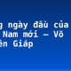 Những ngày đầu của nước Việt Nam mới – Võ Nguyên Giáp