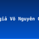Tác giả Võ Nguyên Giáp