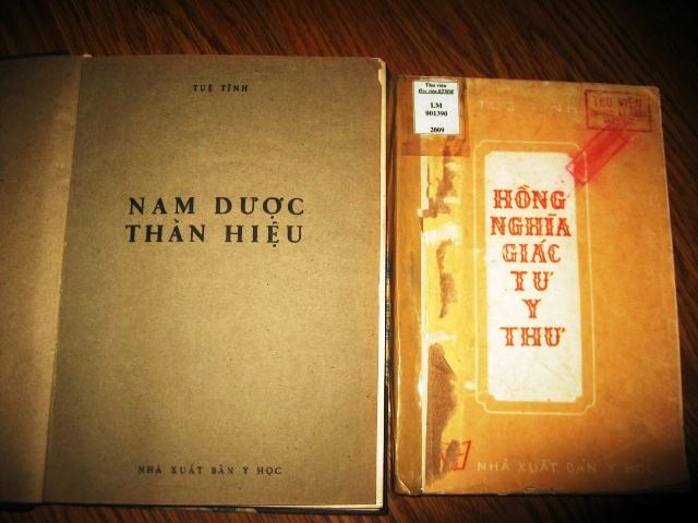 Danh y nuoc Viet Tue Tinh anh 4