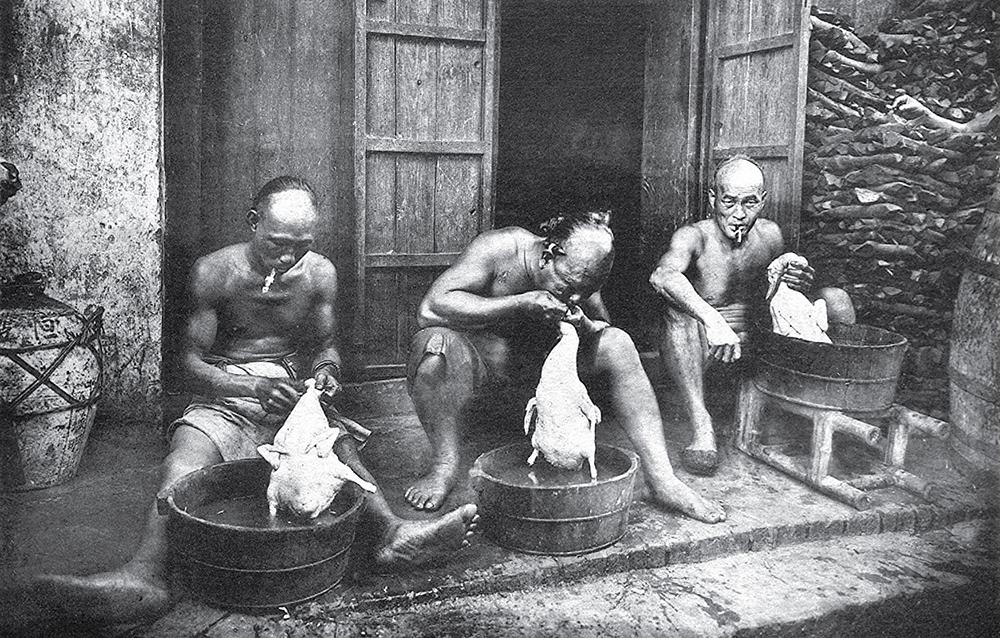 Nhóm người gốc Hoa làm thịt vịt ở Chợ Lớn, Sài Gòn.
