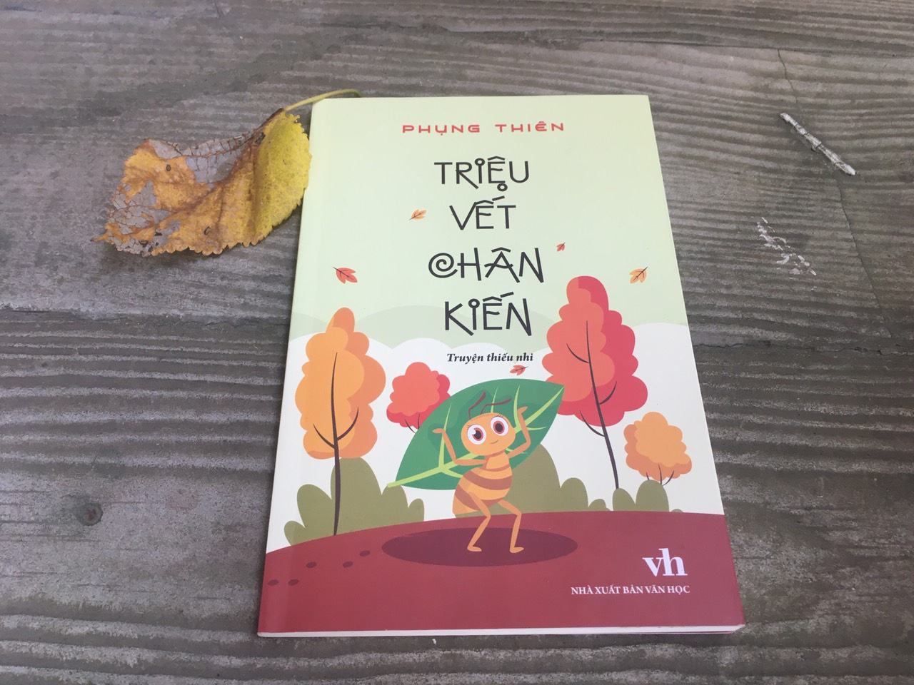 Trieu vet chan kien anh 1