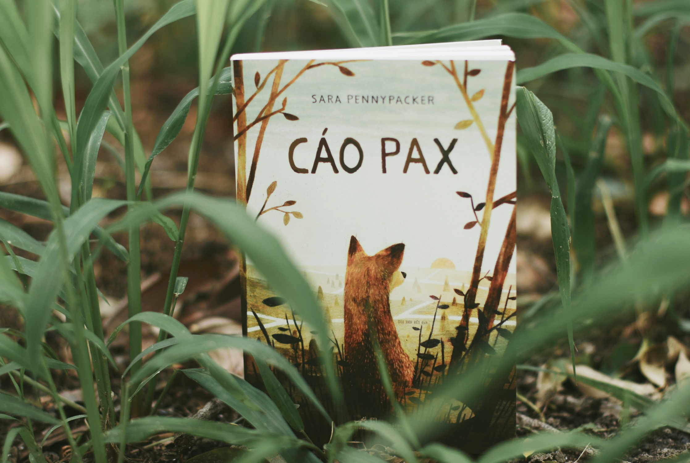 Review sach Cao Pax anh 1