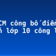 TP HCM công bố điểm chuẩn lớp 10 công lập