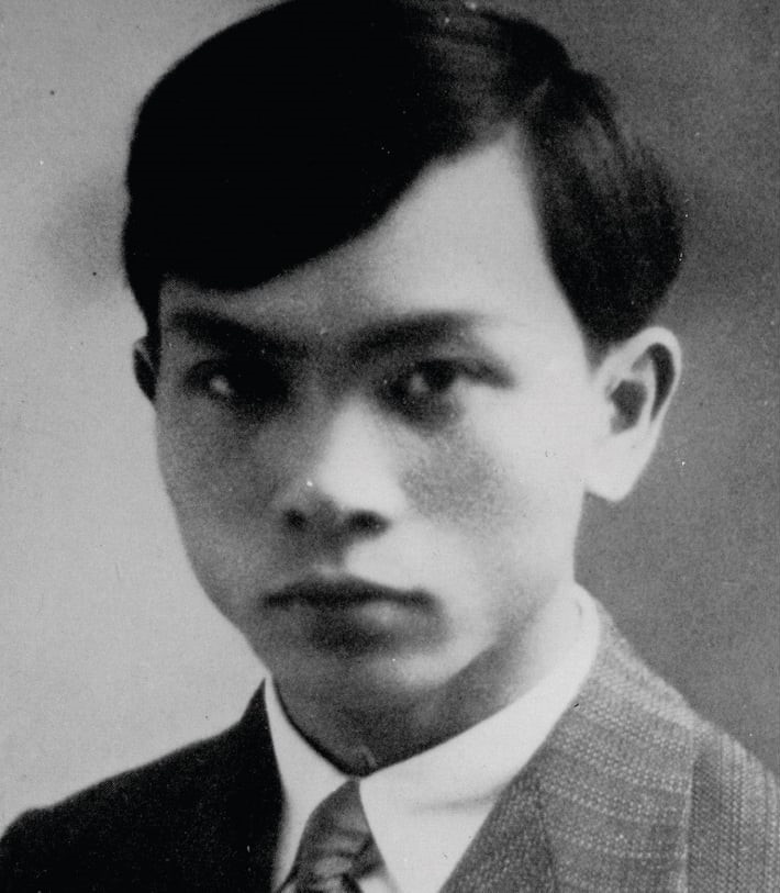 Vo Nguyen Giap anh 2