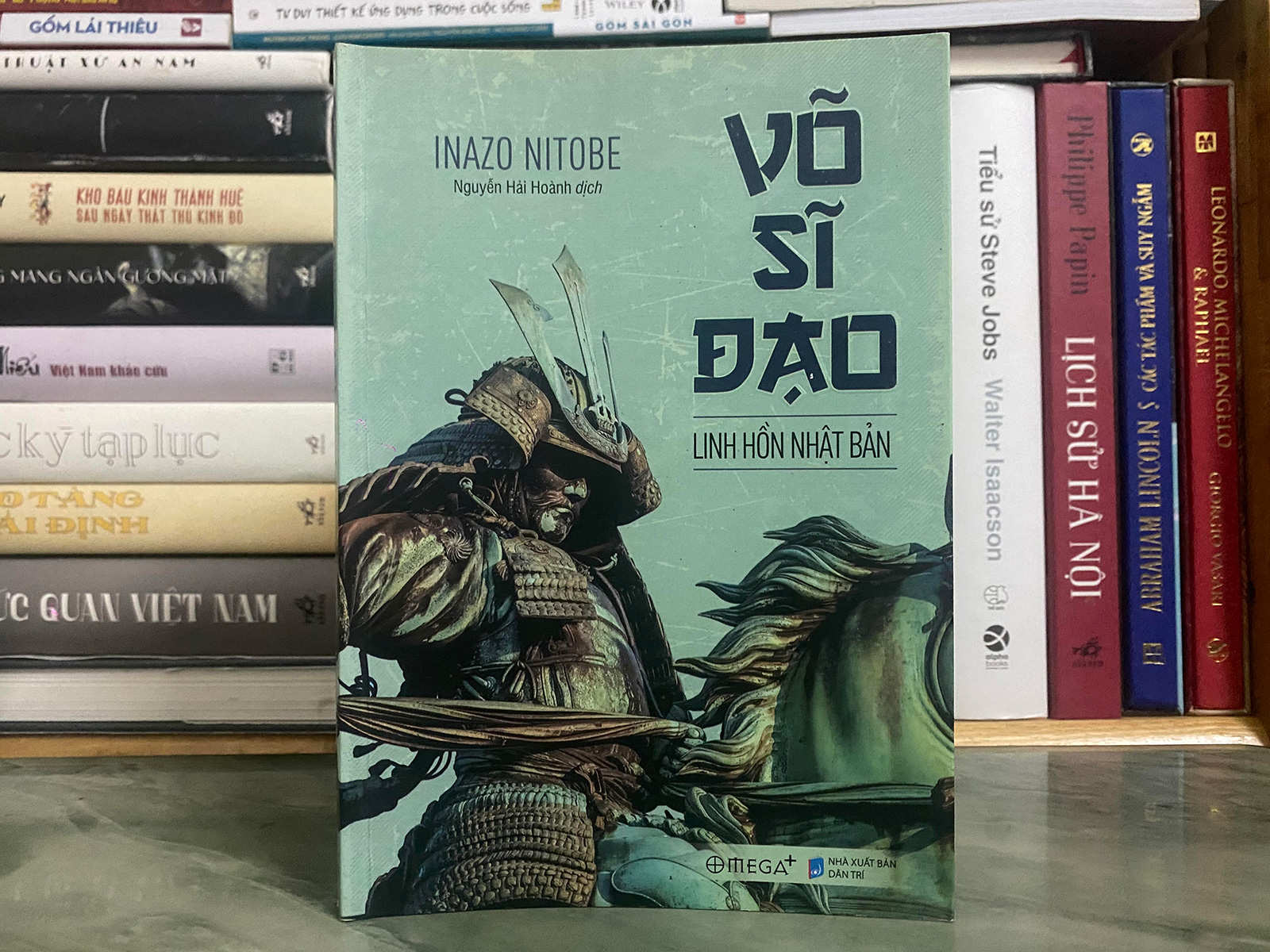 Vo si dao anh 1