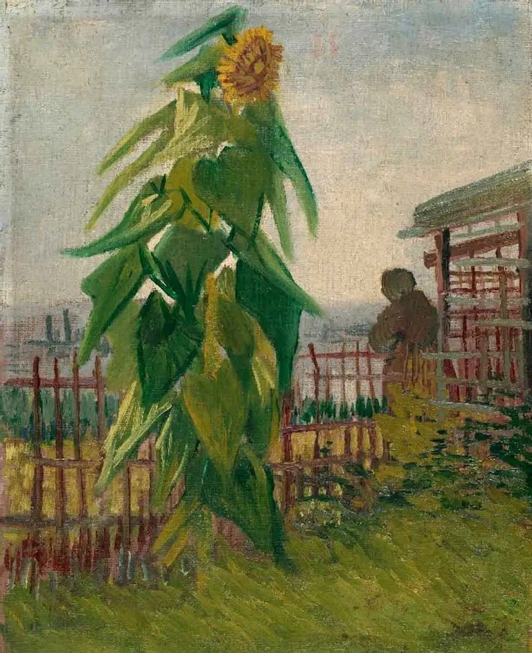 Van Gogh anh 9