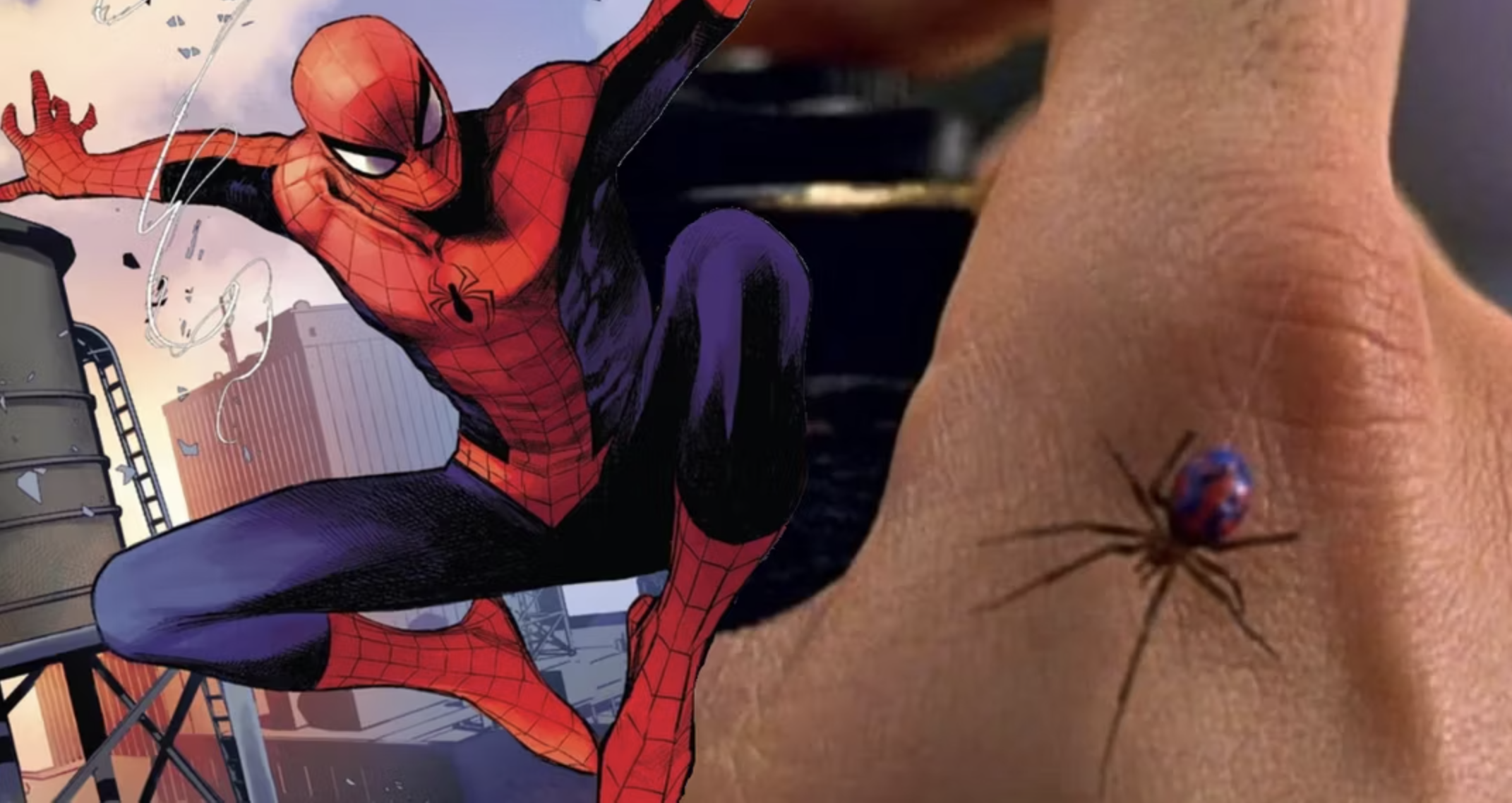 Spider-Man anh 1
